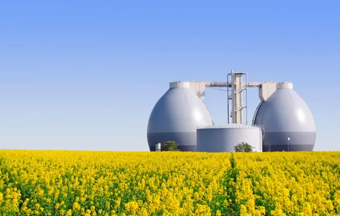 Pros and Cons of Biogas