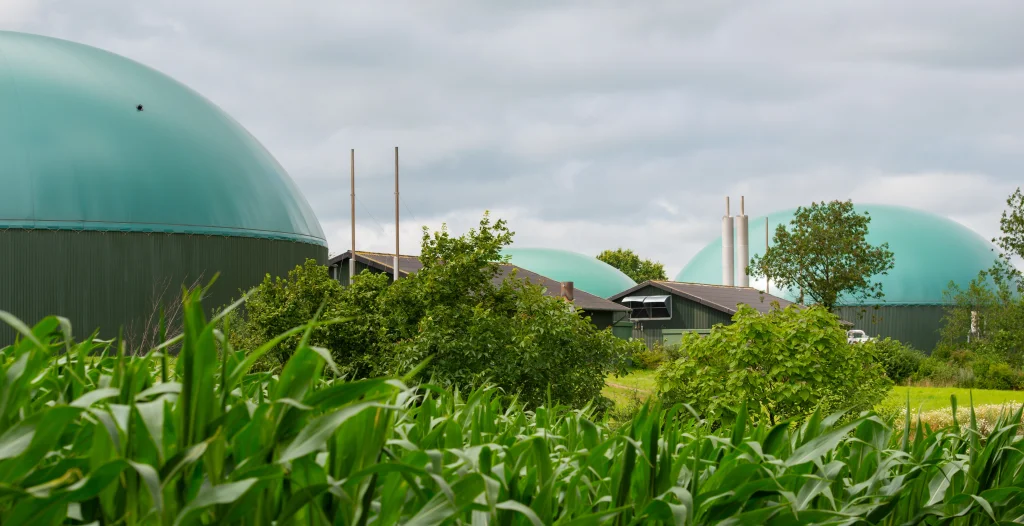 what is biogas? powerup