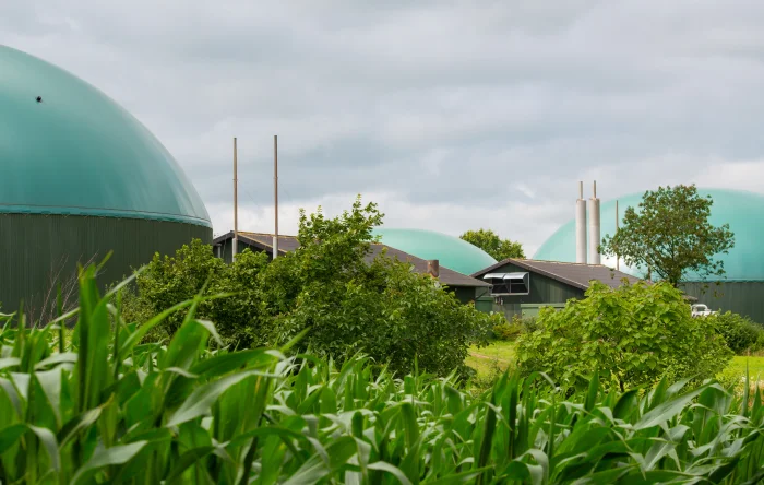 what is biogas? powerup