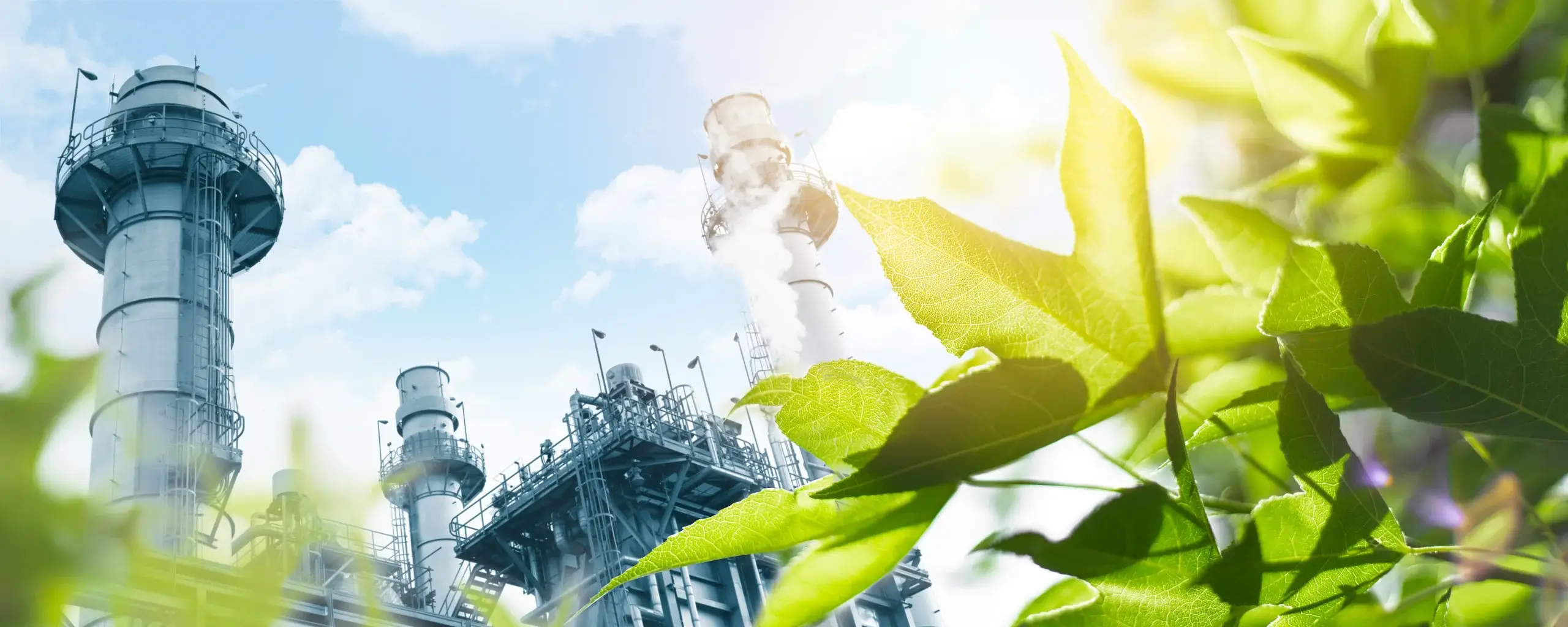 Where is natural gas found?