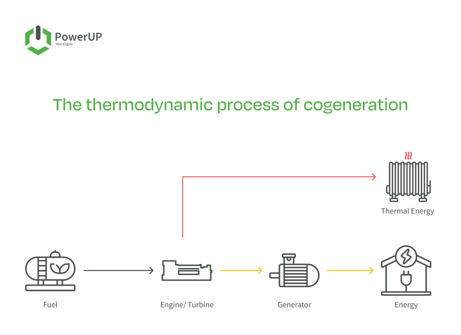 Thermodynamic process