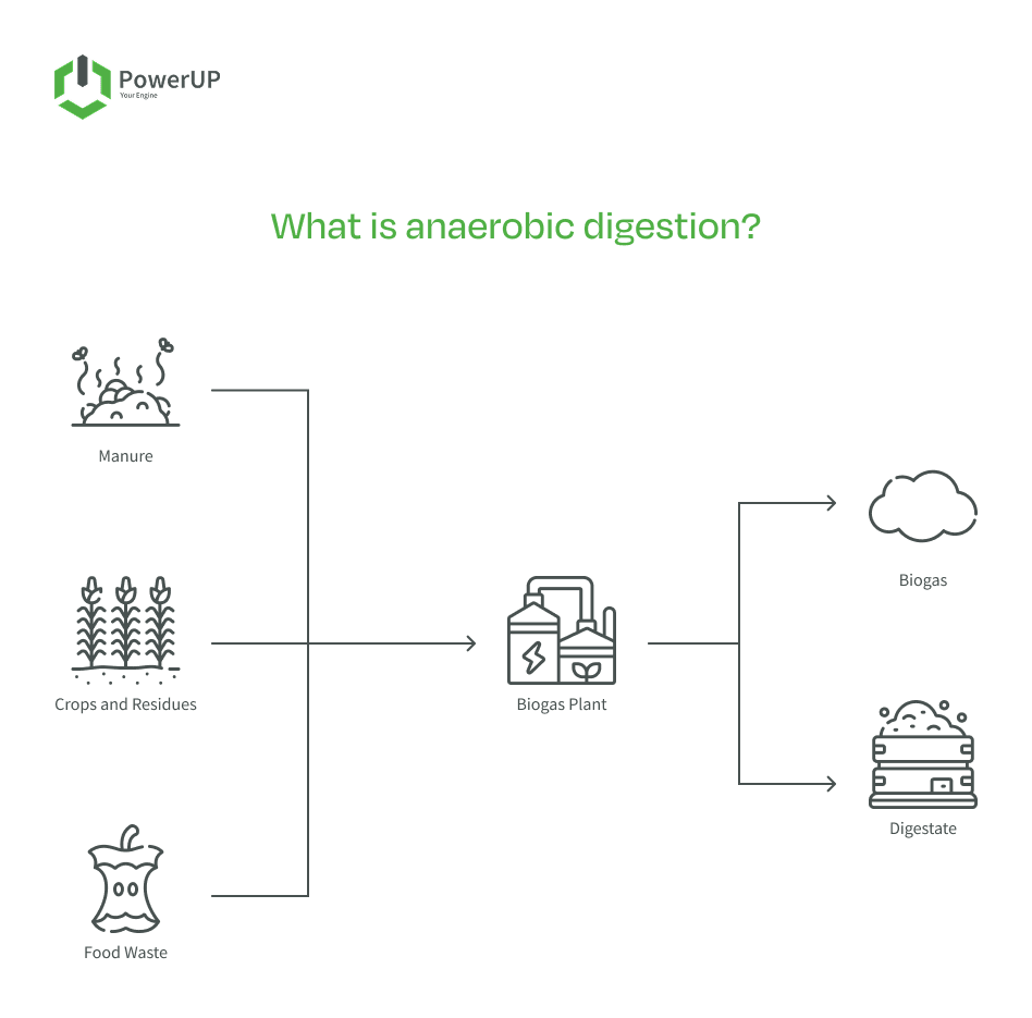 What is anaerobic digestion?